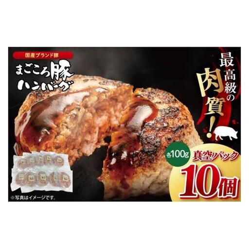 【茨城県共通返礼品】国産まごころ豚ハンバーグ100g×10個【高品質 豚肉 銘柄豚 ブランド豚 人気豚肉 個包装 冷凍 茨城県産 阿見町】(92-01)