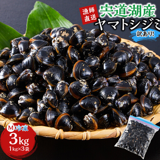 漁師直送！宍道湖産 ヤマトシジミ・Mサイズ 冷凍 3kg）| しじみ