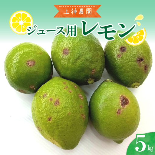 【先行受付】【2026年11月～発送】ジュース用 レモン 約5kg