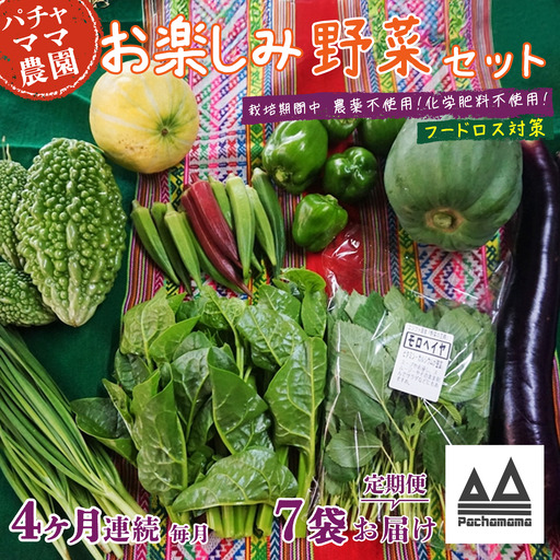 野菜 7袋 訳あり 4ヶ月 定期便 詰め合わせ お任せ 旬 野菜
