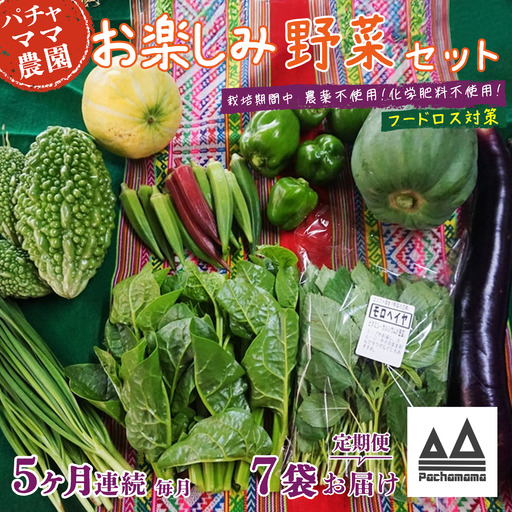 野菜 7袋 訳あり 5ヶ月 定期便 詰め合わせ お任せ 旬 野菜