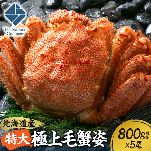 特大極上毛蟹姿 800g前後×5尾セット 蟹 けがに 毛ガニ