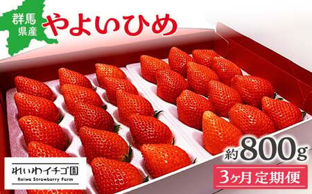 [いちご]3ヶ月定期便 やよいひめ いちご 800g×3回