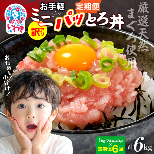 【定期便6回】ねぎとろ1kg（約40g×24パック） ネギトロ