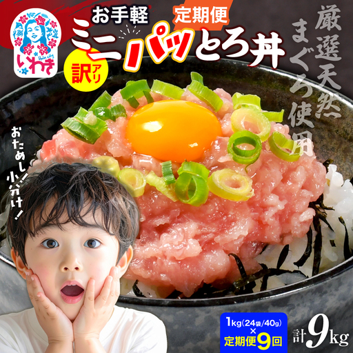 【定期便9回】ねぎとろ使い切りパック　約1kg（約40g×24パック）