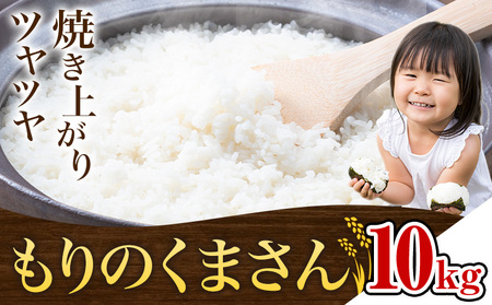 米 もりのくまさん 米 計10kg 《30日以内に出荷予定(土日祝除く)》 お米 こめ 熊本県産 精米 ブランド米 ご飯
