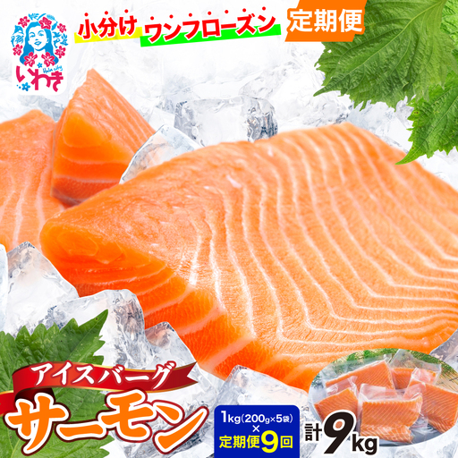 【定期便9回】アイスバーグサーモン（アトランティックサーモン）約1kg