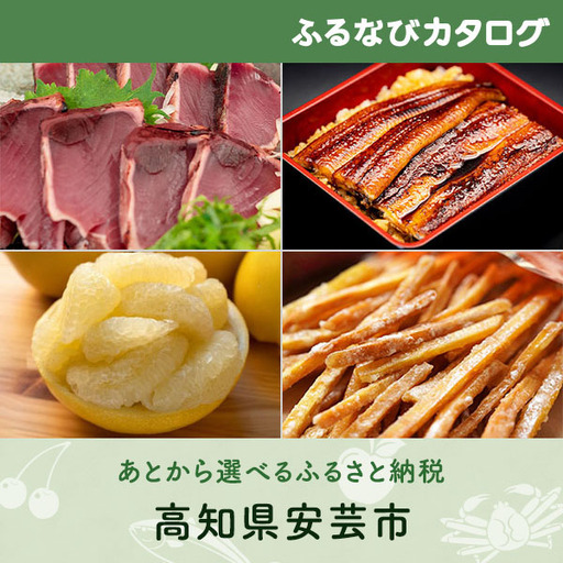 【有効期限なし！後からゆっくり特産品を選べる】高知県安芸市カタログポイント