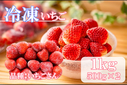 DV227_冷凍いちご（いちごさん）1kg(500gX2)