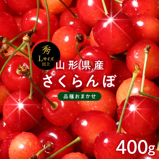 FYN6-609 ≪2027年先行予約≫山形県産 品種おまかせ さくらんぼ(佐藤錦・紅秀峰など) 400g 秀品 L以上 バラパック詰め 2027年6月中旬から順次発送 果物 くだもの フルーツ サクランボ チェリー 贈答 贈り物 ギフト プレゼント 自宅 家庭 産地直送 山形県 西川町 月山