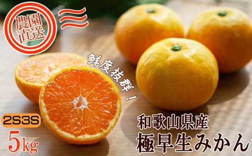 極早生みかん ギュッと凝縮甘酸っぱい味!5kg 家庭用(2S・3Sサイズ)日南早生みかんなど[Mg38]