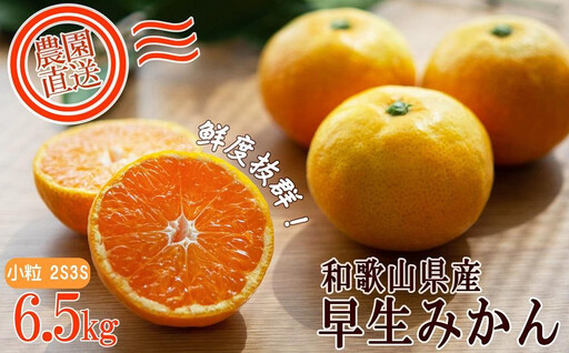 訳あり 早生みかん 2S・3S混合 6.5kg 和歌山みかん