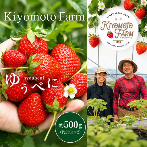 いちご ゆうべに 約500g （ 250g × 2パック ） | KiyomotoFarm