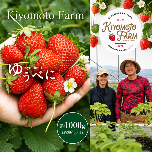 玉名産イチゴ ゆうべに 約1000g （ 250g × 4パック ）