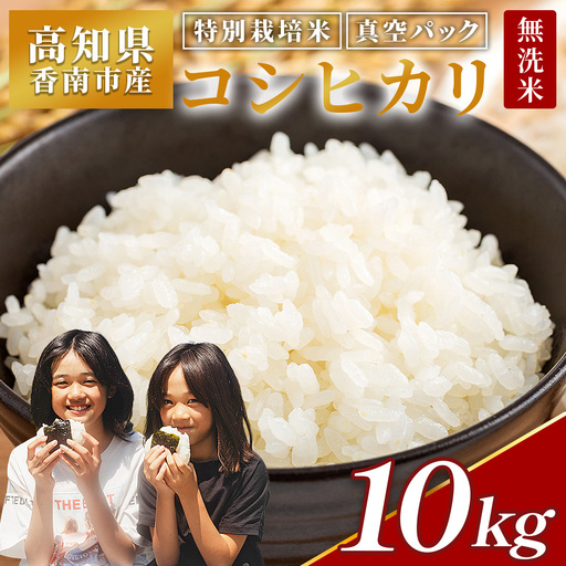 コシヒカリ 10kg 特別栽培米コシヒカリ 5kg×2 令和8年産 nu-0004