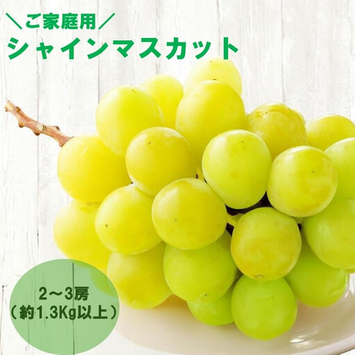 [感謝企画][8月下旬〜10月初旬発送]ご家庭用シャインマスカット 2〜3房(約1.3Kg以上)