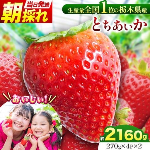 【先行予約】那珂川町産とちあいか 270ｇ×4Ｐ×2 | 2026年 2027年 先行予約 苺 イチゴ 大粒 甘い 贈答用 数量限定 果物 フルーツデザート 人気 贅沢 たっぷり 大容量 朝採れ当日発送 栃木県 那珂川町 送料無料