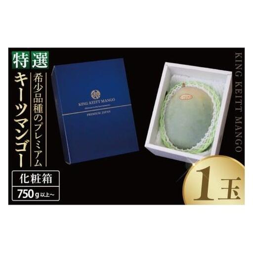 【2027年8月より順次発送】【KING KEITT MANGOl】特選プレミアムキーツマンゴー 1玉(約750g以上) 沖縄県 豊見城市(BV012)