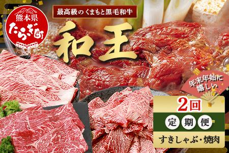 [定期便2回]くまもと 黒毛和牛 (和王) 年末年始 に嬉しい すきしゃぶ・焼肉 定期便[12月/1月配送]合計820g ブランド牛 肉 ロース モモ すき焼き すきやき スキヤキ しゃぶしゃぶ シャブシャブ 焼き肉 やきにく 牛肉 お肉 年末 年始 年内 発送 プレミアム品質