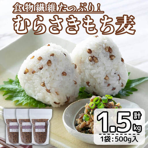  むらさきもち麦 (計1.5kg ・500g×3袋) 常温 もち麦 紫もち麦 食物繊維 大麦 小分け 国産 【opas002】【らいむ工房】