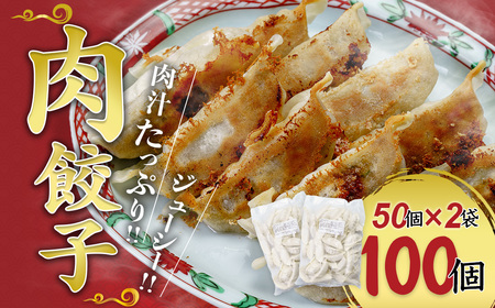 【冷凍餃子】肉餃子 100個セット 冷凍