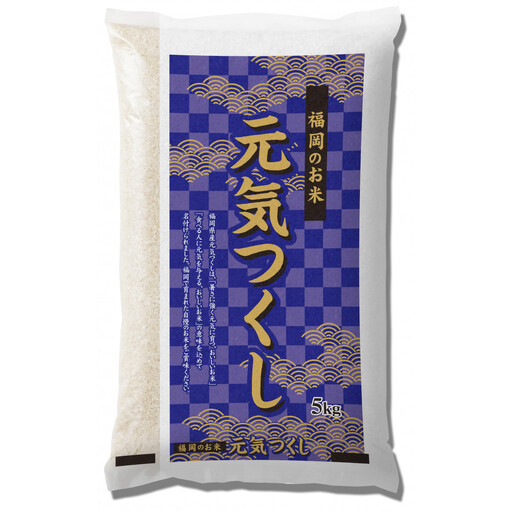 【特A評価獲得！令和7年産】福岡県産 米 元気つくし 15kg セット ( 5kg×3袋 )