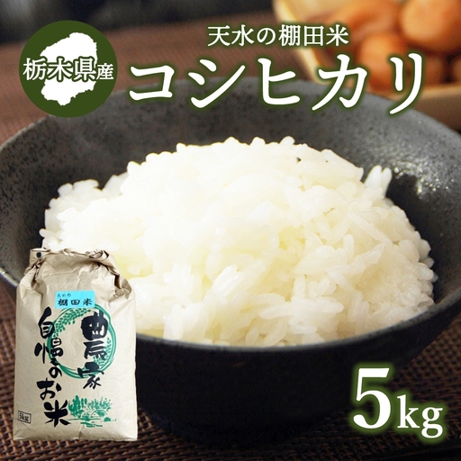 10-55[先行予約]天水の棚田米 コシヒカリ 5kg ※2026年9月〜発送