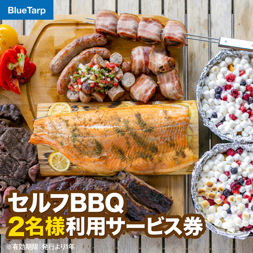 【BlueTarp】セルフBBQ 2名様利用サービス券 体験チケット レジャー体験 HNNC002