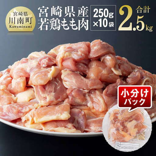 鶏肉 [令和8年11月発送][小分け]宮崎県産若鶏もも肉2.5kg(250g×10袋)精肉 鶏肉