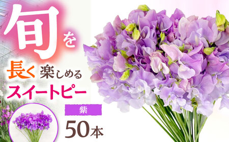[先行予約 2026年12月〜発送]スイートピー 花束 50本(紫) / 生花 