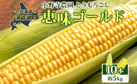 北海道 とうもろこし 恵味ゴールド 約5kg 10本入り 2026年8月11日～8月末頃お届け トウモロコシ コーン 甘い 産地直送 BBQ とうきび 国産 人気 バーベキュー お取り寄せ 北海道産 洞爺湖町 小野寺農園