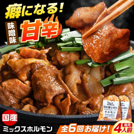 [6回定期便]昔ながらのミックスホルモン 2袋(4人前) / モツ もつ レバー ホルモン / 御嵩町 / 藤よし[AVAA083]