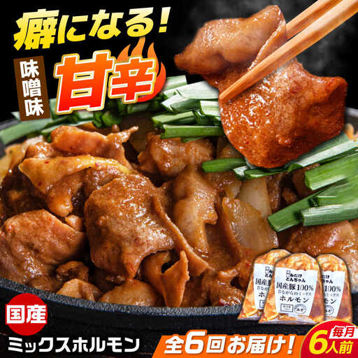 【6回定期便】昔ながらのミックスホルモン 3袋（6人前） / モツ もつ レバー ホルモン / 御嵩町 / 藤よし[AVAA086]