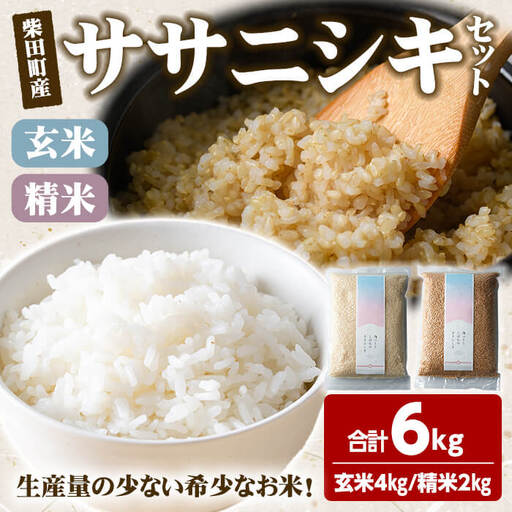 【令和8年産】ササニシキ 精米 玄米 セット 合計6kg（玄米4kg/精米2kg） 柴田町産 お米 おこめ 米 コメ 白米 ご飯 ごはん おにぎり お弁当 【しばたの未来株式会社】sh012