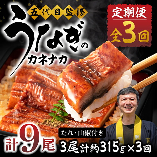 国産若うなぎ 3尾 定期便3回 うなぎ