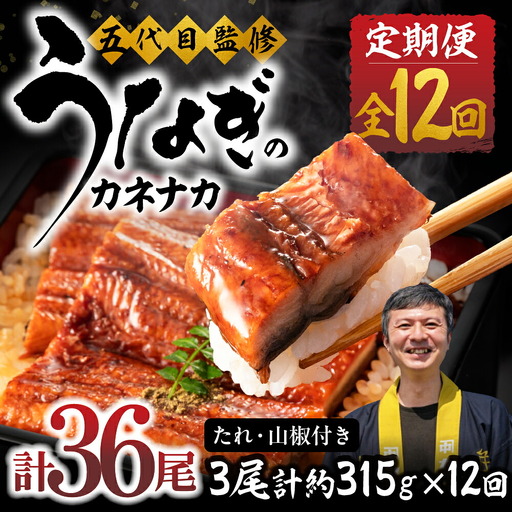 国産若うなぎ 3尾 定期便12回 うなぎ