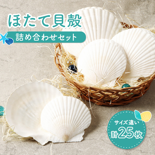 ほたて貝殻詰め合わせ【13001】