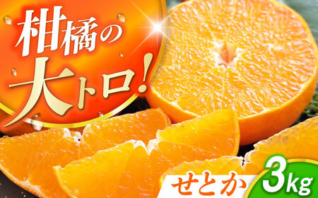 【露地栽培】せとか約3kg（12-15玉） 長与/JAじげもん長与直売所[EAF008]
