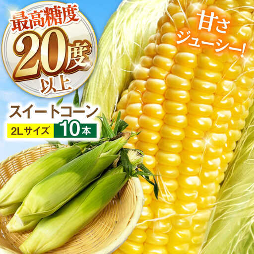 【先行予約】とうもろこし 10本 [SGB008] | とうもろこし