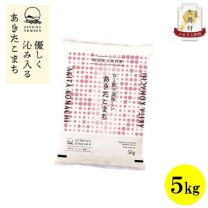 【毎月定期便】秋田県産あきたこまち白米5kg(5kg×1)全12回【配送不可地域：離島・沖縄県】【4072891】