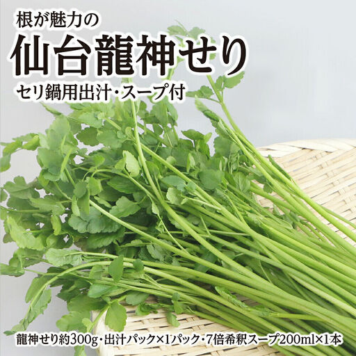 根が魅力の仙台龍神せり鍋出汁セット 2～3人前 期間限定