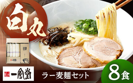 「一風堂」白丸 ラー麦麺セット 合計8食分セット [ADCA003] ラーメン 贈答 博多