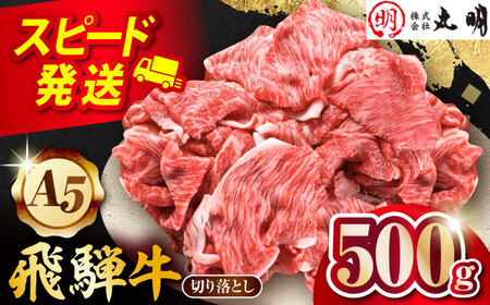 【A5等級】 飛騨牛 切り落とし 500ｇ 用途いろいろ 多治見市 / 飛騨牛の丸明 冷凍 和牛 赤身 霜降り[THL002]