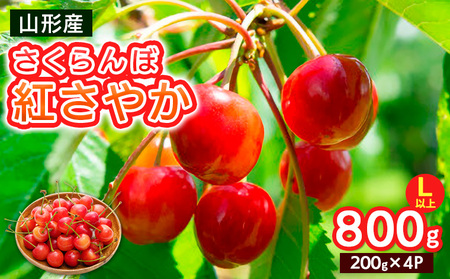 さくらんぼ 紅さやか Lサイズ以上 800g(200g×4パック)【令和9年産先行予約】FS25-063