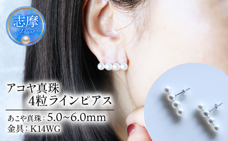 [真珠] ラインピアス 5-6 ミリ 4粒タイプ ピアス K14WG