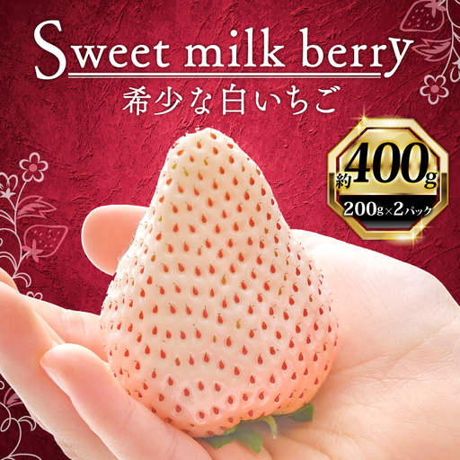 【期間限定】白いちご 400g 高級 | 白いちご