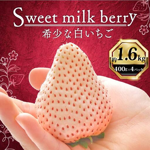 【期間限定】白いちご 1600g ｜ 白いちご