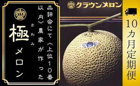 メロン 10ヶ月 定期便 クラウン 極 1玉 フルーツ メロン