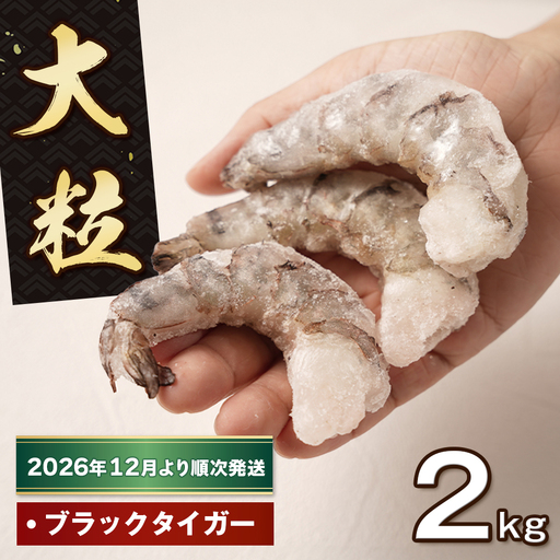 至福の大粒むきえび　背ワタ処理済 2kg【2026年12月より順次発送】　えび