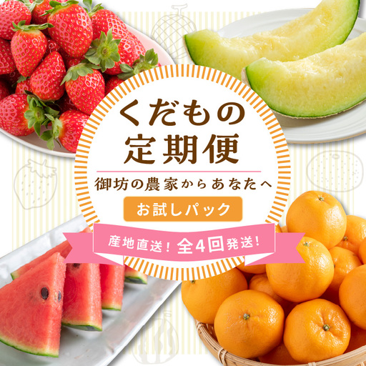≪2027年発送分≫産地直送！くだもの 定期便「お試しパック」御坊の農家からあなたへ。Ⅱ【配送不可地域：北海道・青森・秋田・岩手・沖縄・離島】【8068-1】